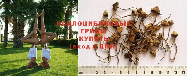 дурь Балабаново